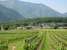 Agriturismo Al Col