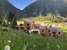 Bio natur Refugium Blaslahof ****