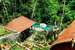 Jungle Lotus Villas