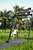 Adil Villa & Resort