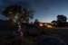 Astelia Lodge