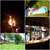 Wayside Lodge