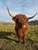 Trotternish B&B