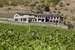 Gibbston House Boutique B&B
