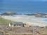 Ard na Mara Beach Cottage