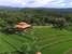 Puri Mangga Sea View Resort and Spa
