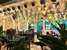 Residence Gadea Zanzibar & Gadea Garden Restaurant
