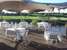 Oranjerus Resort
