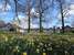 Great Witchingham B&B at The White Pheasant
