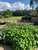 Bed and Breakfast De Paalberg