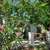 Alpujarra Guesthouse