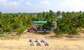 Cherai Beach Residency