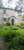 Ellenboro House Bed & Breakfast & self-catering