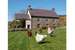 nantgwynfaen Organic Farm Wales