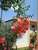Hotel Heleni Apartments