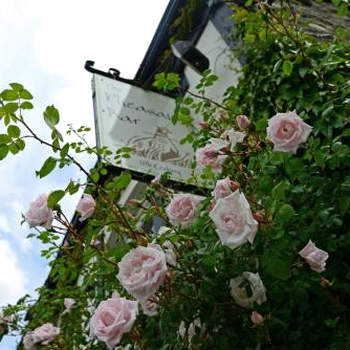 The Mulberry Inn