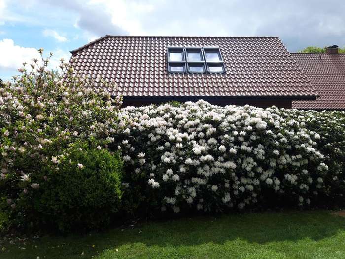 www.kleemann-ferienhaus.de