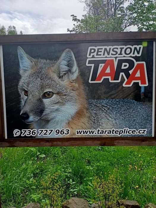 www.pensiontara.net