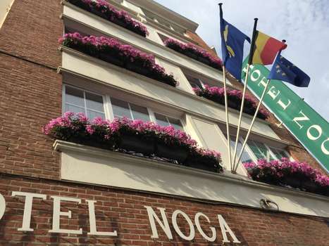 www.nogahotel.com