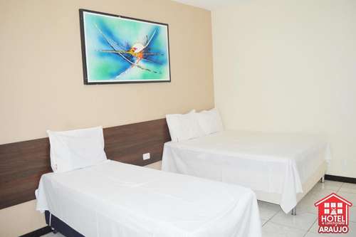 www.hotelaraujo.com.br