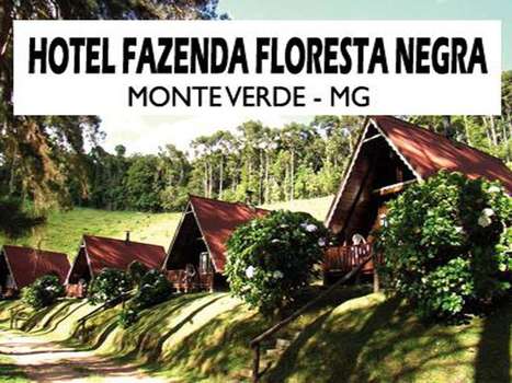 www.hotelflorestanegra.com.br