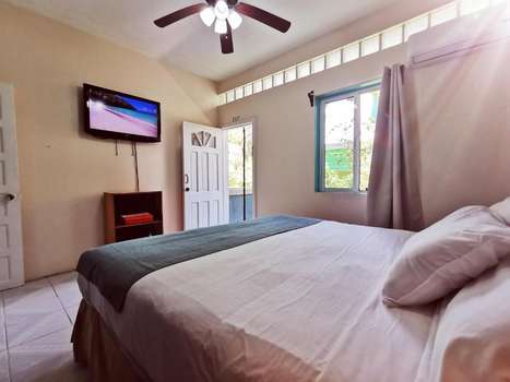 www.belizetropicaldream.com