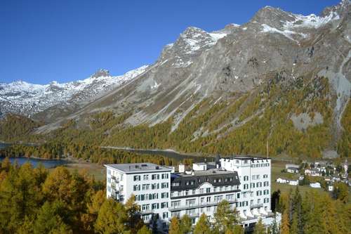 www.waldhaus-sils.ch