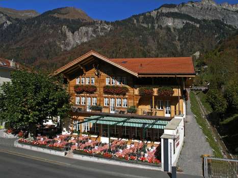 www.steinbock-brienz.ch