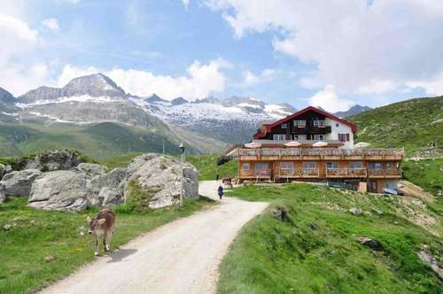 www.hamiltonlodge.ch