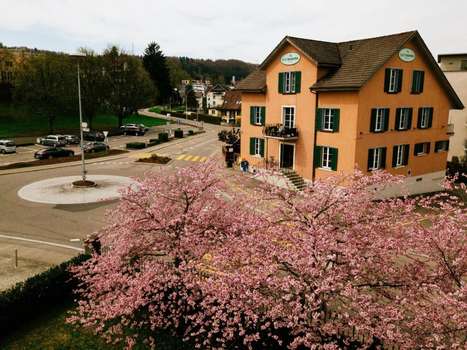 www.hotelmamma.ch