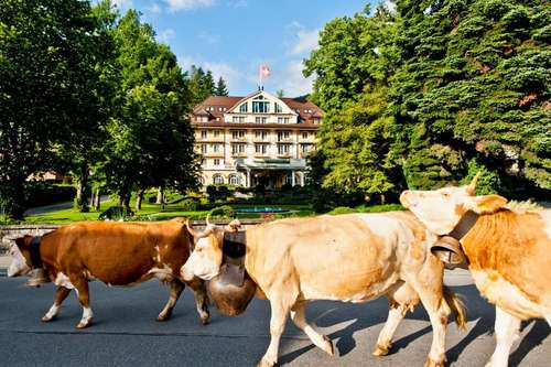 www.bellevue-gstaad.ch