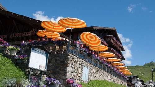 www.alpfrieden.ch