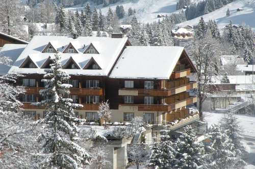 www.hotel-steinmattli.ch