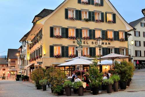 www.hotel-schwan.ch