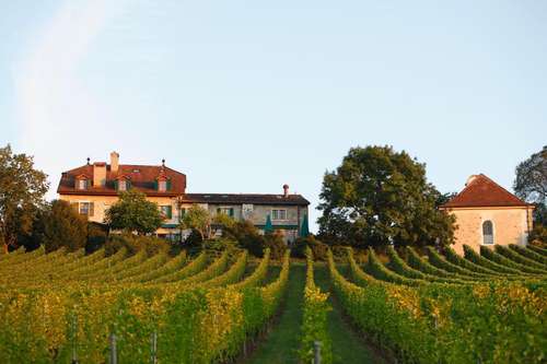 www.chateauvieux.ch