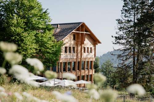 www.gasthaushergiswald.ch