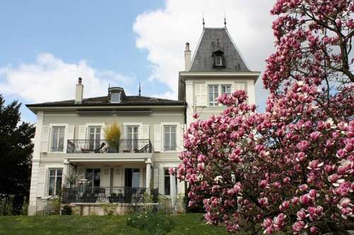 www.maison-igor.ch