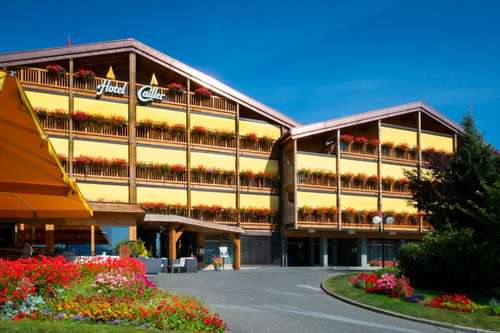 www.hotel-cailler.ch