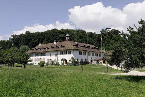 www.st-petersinsel.ch