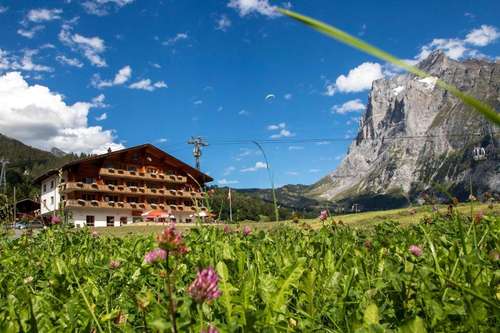 www.das-bodmi.ch