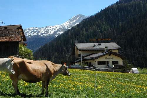 www.walserhof-medels.ch