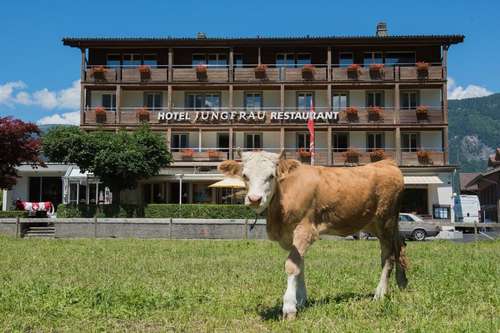www.jungfrau-hotel.ch