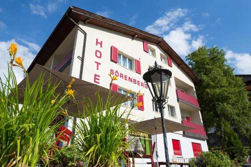 www.hotel-soerenberg.ch