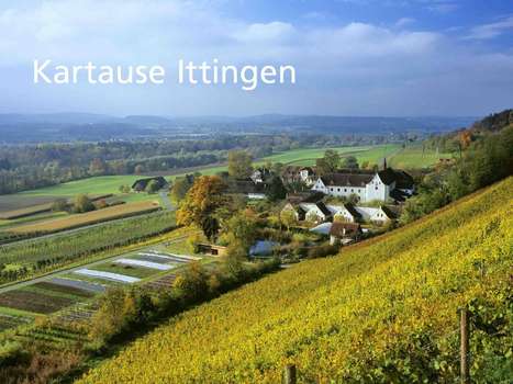 www.kartause.ch