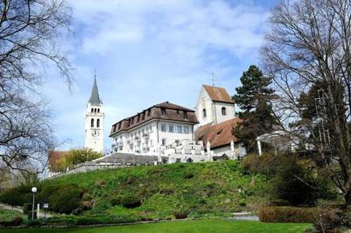 www.schlossromanshorn.ch