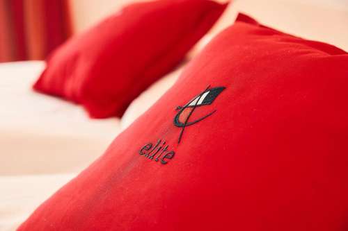 www.hotel-elite-visp.ch