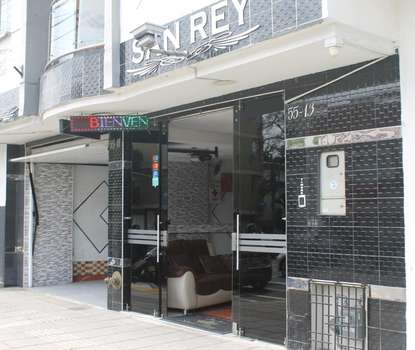 www.hotelsanrey.com
