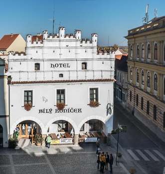 www.bilykonicekhotel.cz