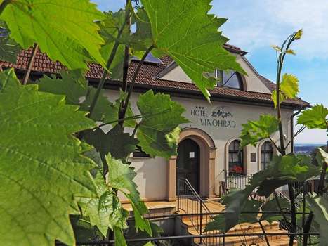 www.hotelvinohrad.cz