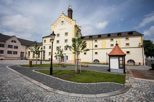 www.hotelulipykrusovice.cz
